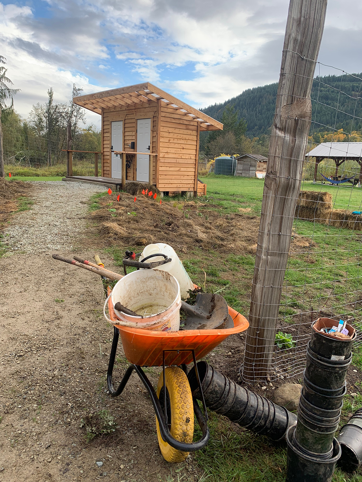 Case Study: Creating Biodiversity In Gardens (2025-2028)