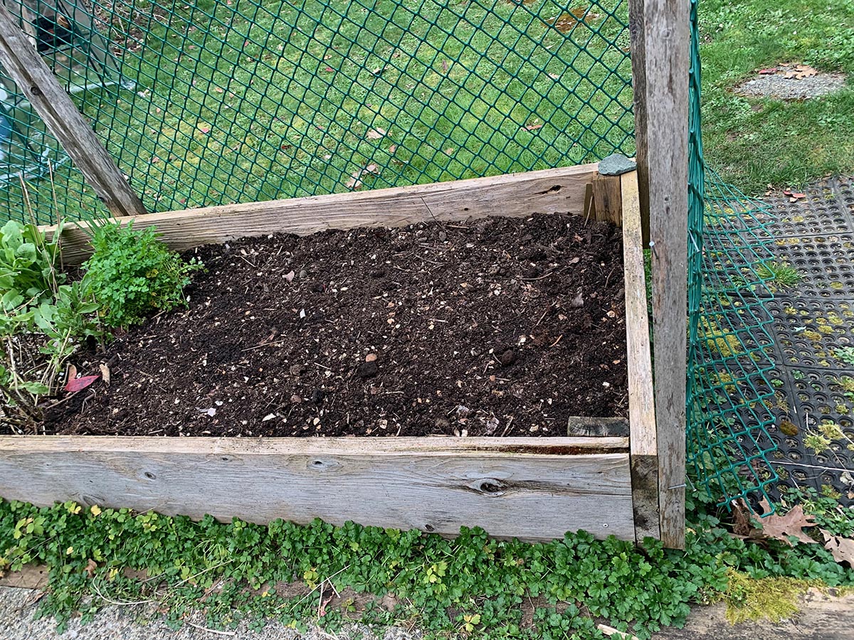 An Ecological Approach to Spring Garden Preparation